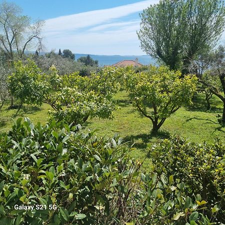 Apartment Green Oasis Split Zewnętrze zdjęcie